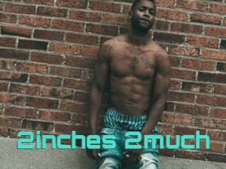 2inches_2much