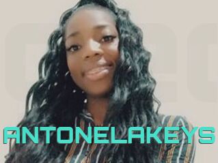 ANTONELAKEYS