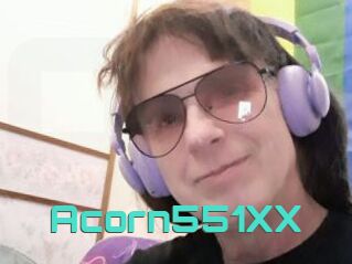 Acorn551XX
