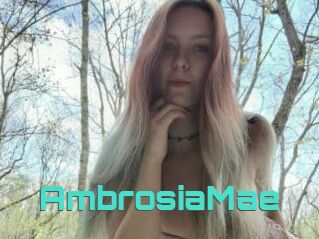 AmbrosiaMae
