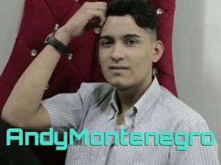 AndyMontenegro