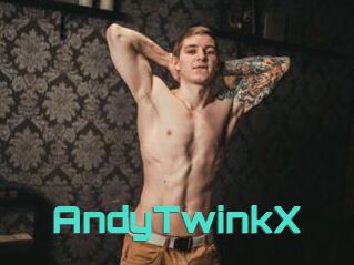 AndyTwinkX
