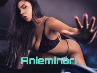 Anieminori