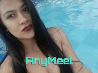 AnyMeel