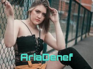 AriaDenef
