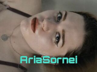 AriaSornei