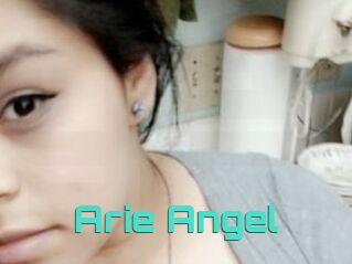 Arie_Angel