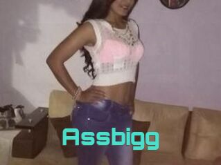 Assbigg