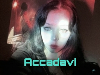 Accadavi