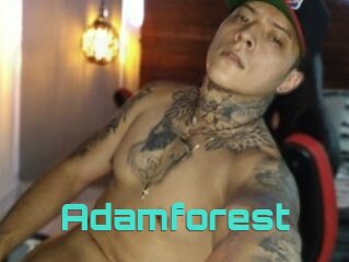 Adamforest