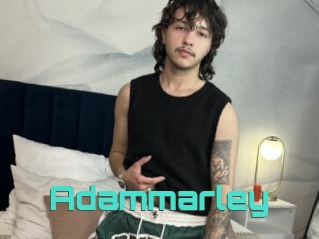 Adammarley