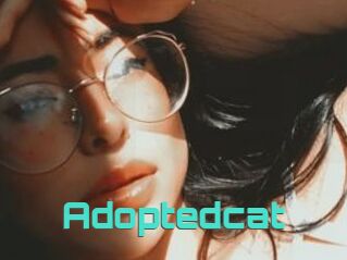 Adoptedcat