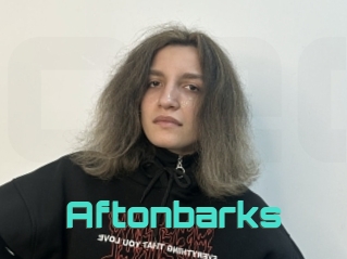 Aftonbarks