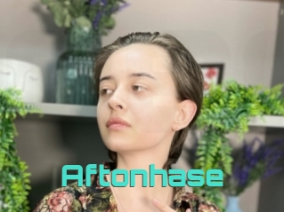 Aftonhase