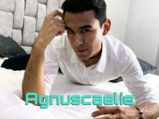 Agnuscaelie