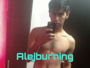 Alejburning
