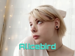Alicebird