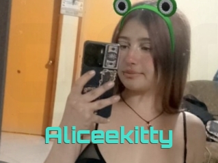 Aliceekitty