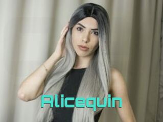 Alicequin
