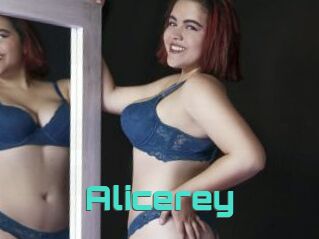 Alicerey