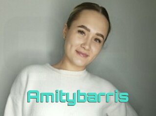 Amitybarris