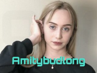 Amitybudlong