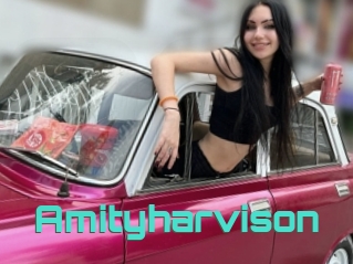 Amityharvison