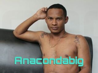 Anacondabig