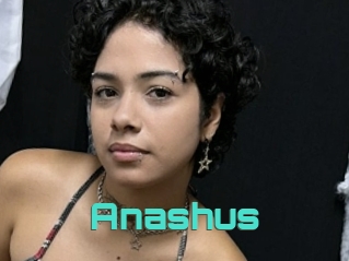 Anashus