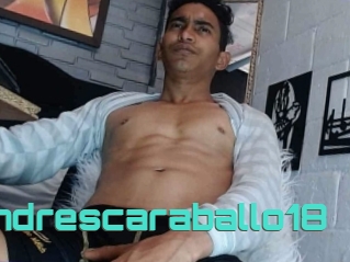 Andrescaraballo18