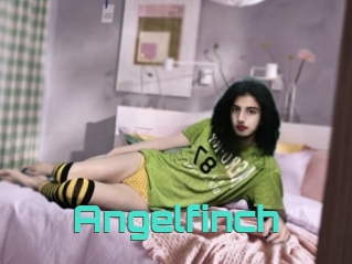 Angelfinch