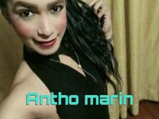 Antho_marin