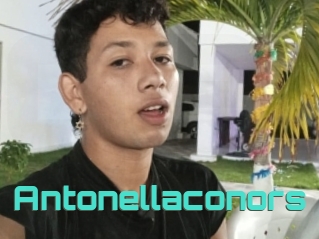 Antonellaconors