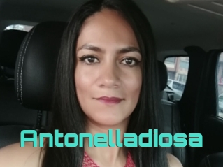 Antonelladiosa