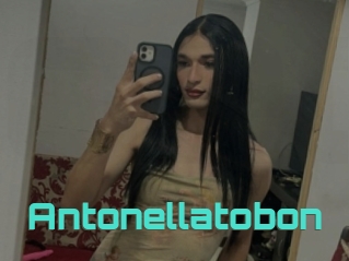 Antonellatobon