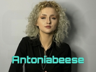 Antoniabeese