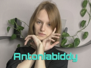 Antoniabiddy
