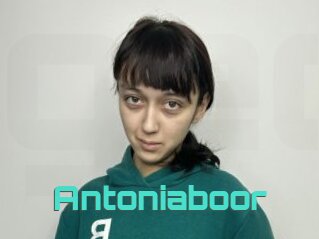 Antoniaboor