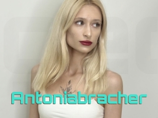 Antoniabracher