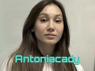 Antoniacady