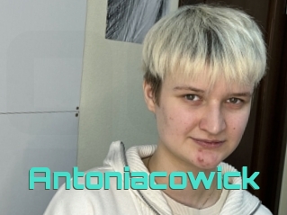 Antoniacowick