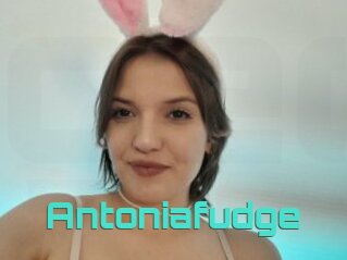 Antoniafudge