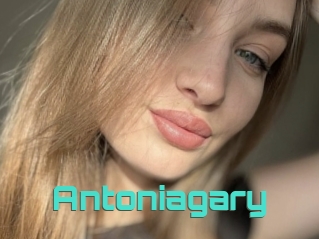 Antoniagary