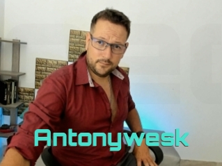 Antonywesk