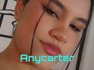 Anycarter