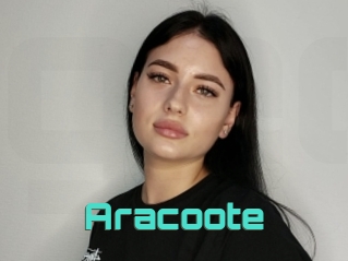 Aracoote