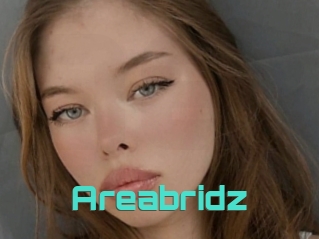 Areabridz