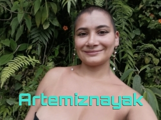 Artemiznayak