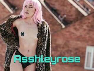 Asshleyrose