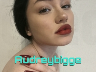 Audreybigge